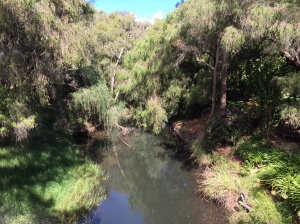 The little creek next to Stirling Cottage